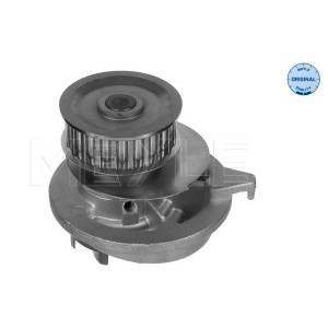MEYLE 613 600 0568 Pompe à eau pour Omega Vectra Astra Cavalier Ascona Kadett Carlton Espero Calibra