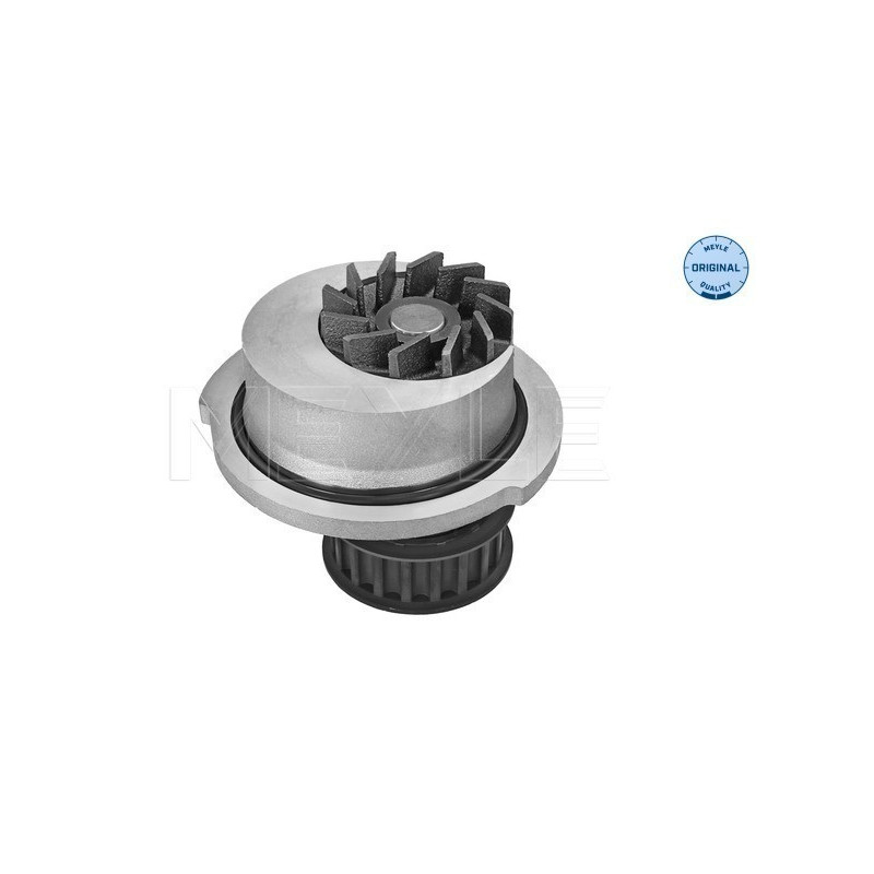 MEYLE 613 600 4098 Bomba de agua para Astra Kadett Corsa Vectra Nexia Combo Nova Astravan Cavalier