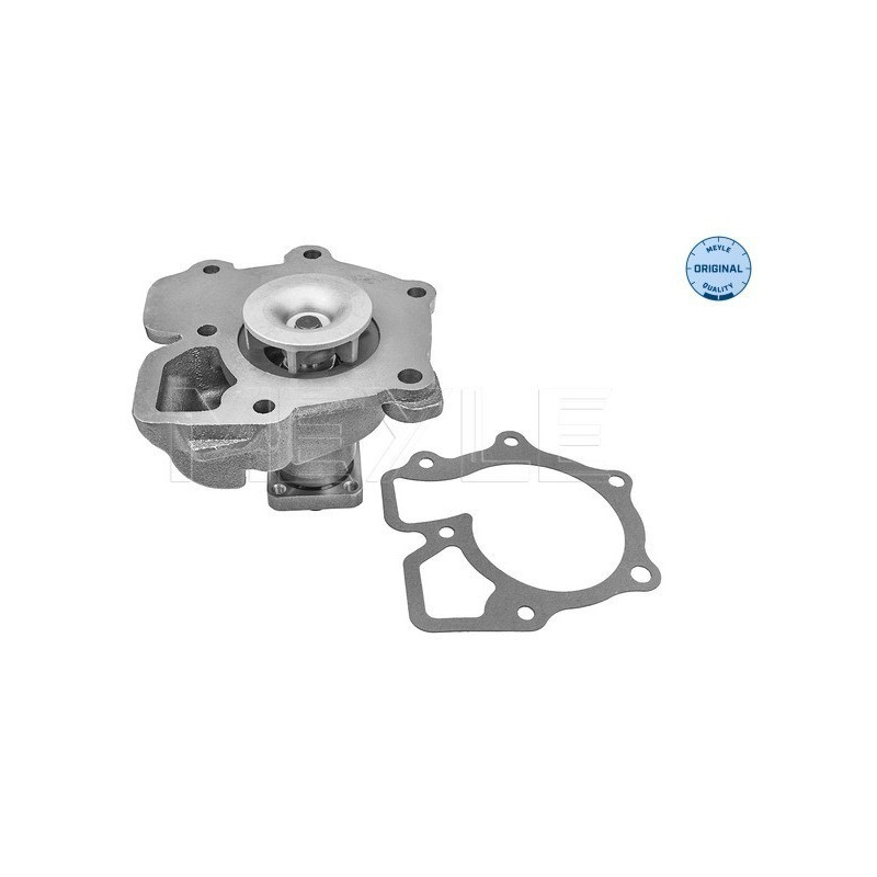 MEYLE 713 001 0002 Wasserpumpe für Ford Transit