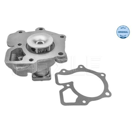 MEYLE 713 001 0002 Pompe à eau pour Ford Transit