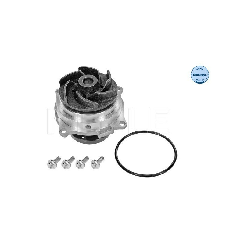 MEYLE 713 220 0002 Wasserpumpe für Focus Mondeo Escort Transit Tribute Cougar