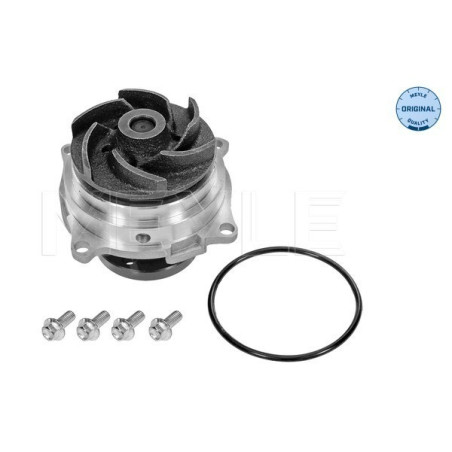 MEYLE 713 220 0002 Pompa acqua per Focus Mondeo Escort Transit Tribute Cougar