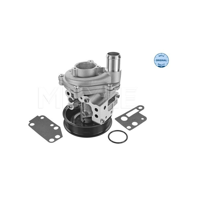 MEYLE 713 220 0010 Pompe à eau pour Transit Defender