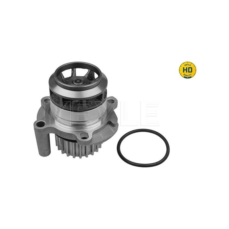 MEYLE 113 220 0011/HD Pompa acqua per A4 A3 Golf TT Leon Altea Scirocco A6 Exeo Octavia Passat A1