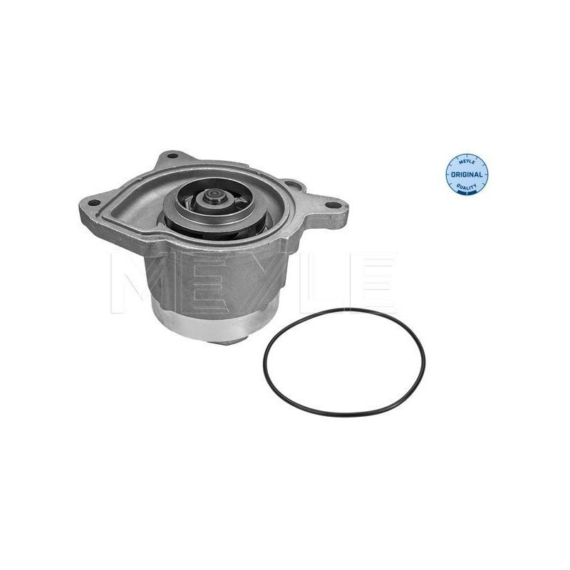 MEYLE 113 220 0025 Pompa acqua per Golf Ibiza Caddy Fabia Rapid A3 Roomster A1 Altea Beetle Octavia