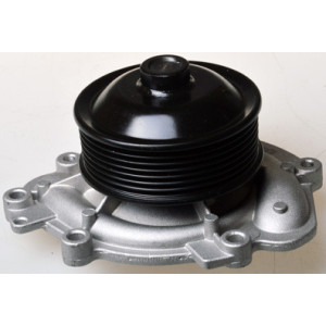 DENCKERMANN A310951P Pompe à eau