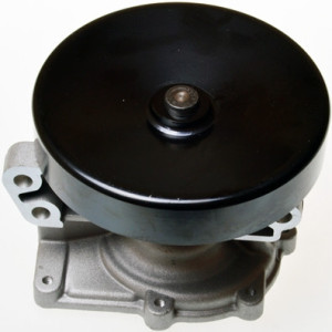 DENCKERMANN A310930P Water Pump