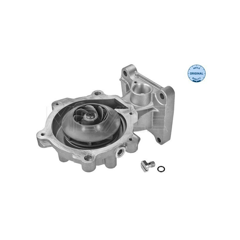 MEYLE 713 220 0019 Wasserpumpe für Mondeo Transit X-Type