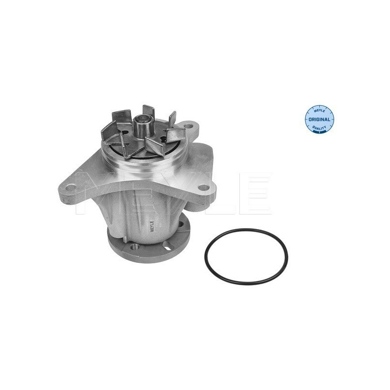 MEYLE 53-13 220 0007 Wasserpumpe für Discovery S-Type XF XJ
