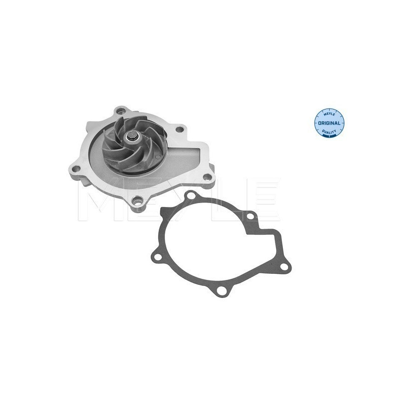 MEYLE 37-13 220 0016 Pompe à eau pour Santa Fe Sportage Sorento ix35 Tucson Carnival Grand Santa Fe