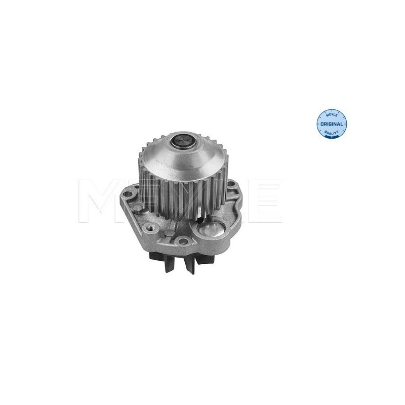 MEYLE 11-13 220 0008 Wasserpumpe für C5 406 407 607 Clio Laguna 807 Avantime C6 C8 Phedra Ulysse
