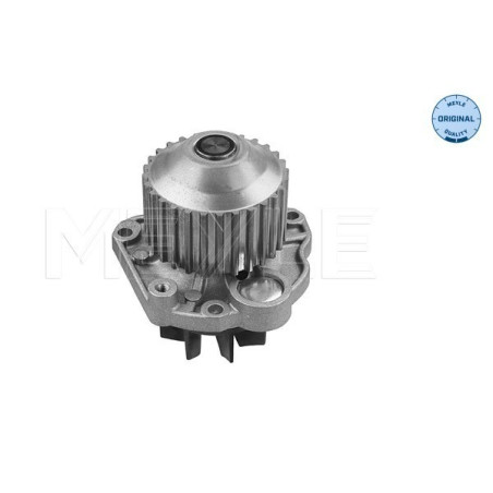 MEYLE 11-13 220 0008 Water Pump for C5 406 407 607 Clio Laguna 807 Avantime C6 C8 Phedra Ulysse