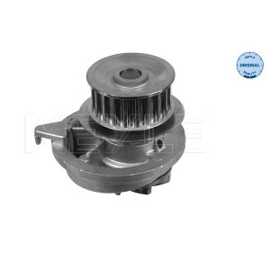 MEYLE 613 600 4038 Pompe à eau pour Vectra Calibra Kadett Astra