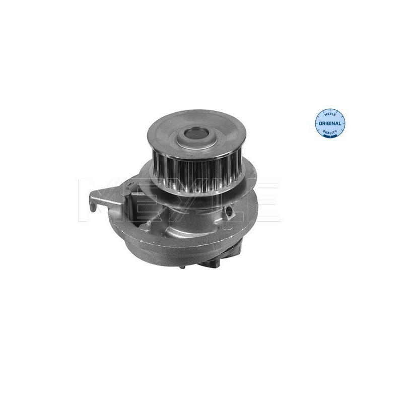 MEYLE 613 600 4038 Pompe à eau pour Vectra Calibra Kadett Astra