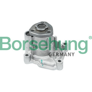 BORSEHUNG B12696 Pompa acqua