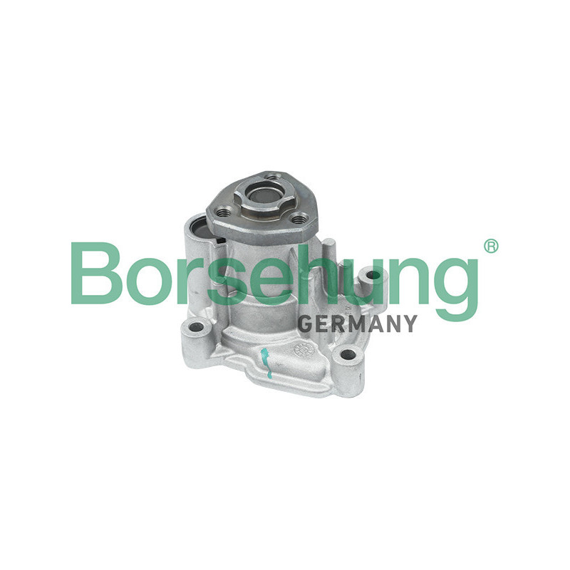 BORSEHUNG B12696 Vodné čerpadlo