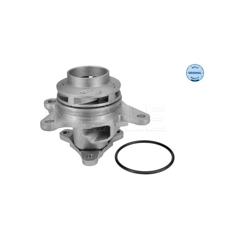 MEYLE 16-13 220 0028 Water Pump for Vivaro Trafic Talento Megane NV300 Vito Qashqai C Talisman