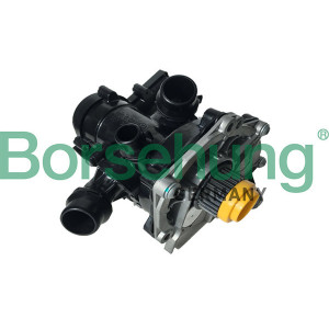 BORSEHUNG B18971 Pompa wody