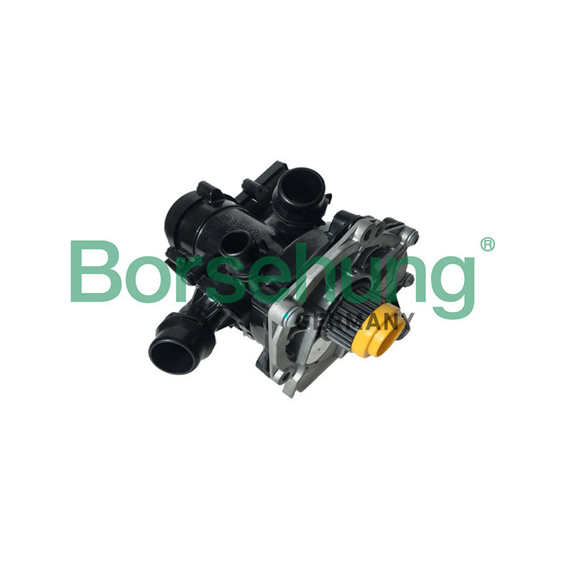 BORSEHUNG B18971 Pompa acqua