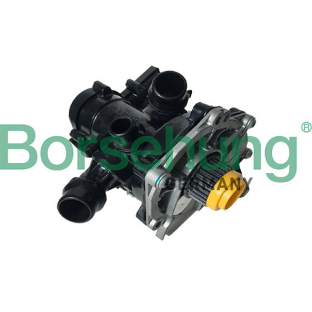 BORSEHUNG B18971 Wasserpumpe