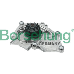 BORSEHUNG B15313 Pompa acqua
