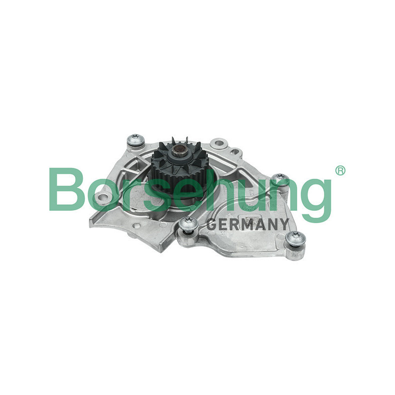 BORSEHUNG B15313 Pompa wody