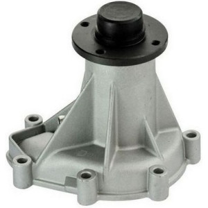 DENCKERMANN A310216P Pompe à eau