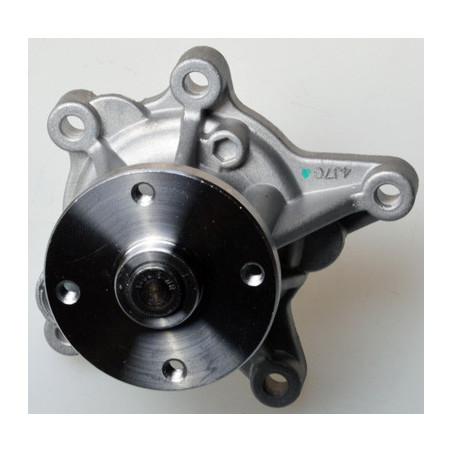 DENCKERMANN A310948P Pompe à eau