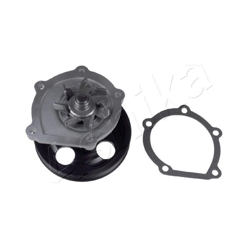 ASHIKA 35-02-2017 Pompa wody