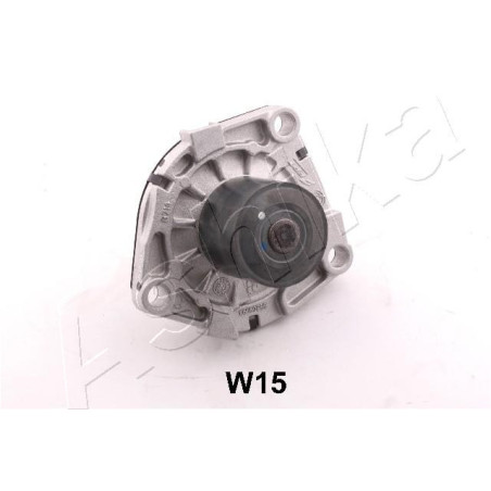 ASHIKA 35-0W-W15 Pompa acqua