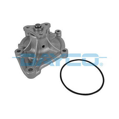 DAYCO DP286 Wasserpumpe
