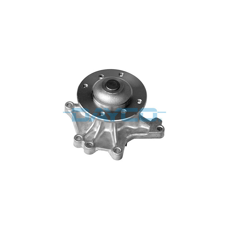 DAYCO DP549 Wasserpumpe