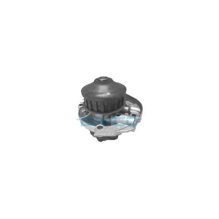 DAYCO DP008 Wasserpumpe