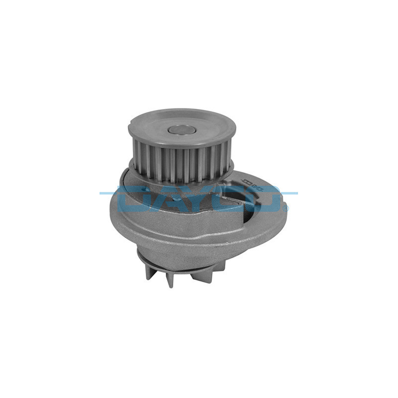 DAYCO DP062 Pompa acqua