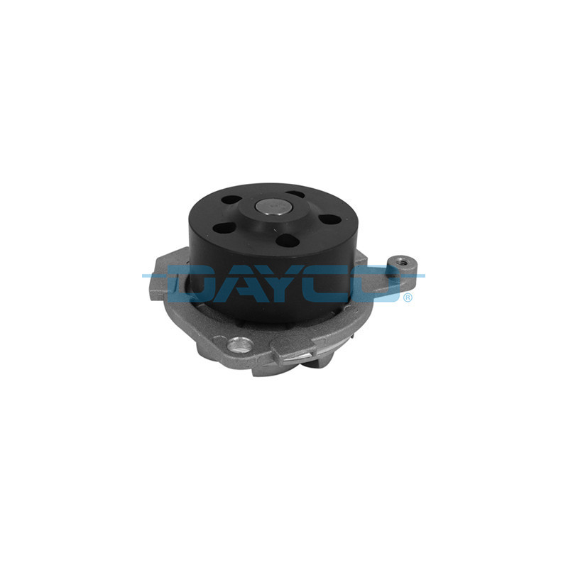 DAYCO DP049 Wasserpumpe