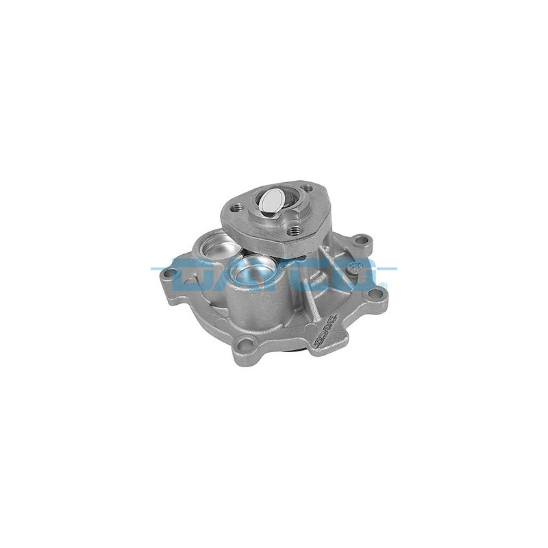 DAYCO DP191 Pompa acqua