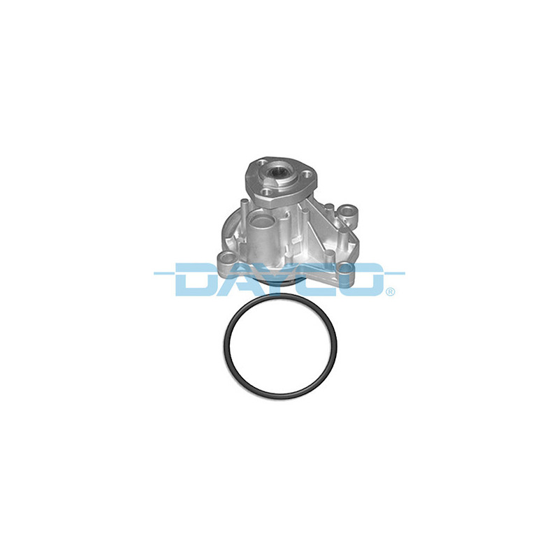 DAYCO DP310 Pompa wody