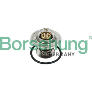 BORSEHUNG B18231 Thermostat