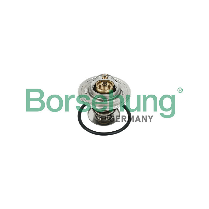 BORSEHUNG B18231 Termostat