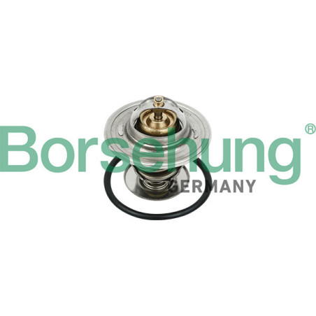 BORSEHUNG B18231 Termostato