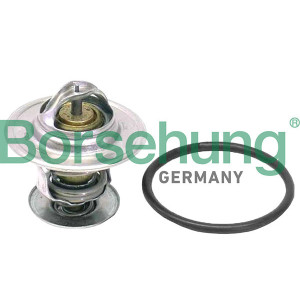 BORSEHUNG B18262 Thermostat