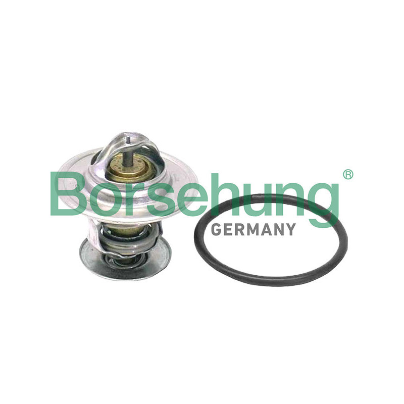 BORSEHUNG B18262 Termostato