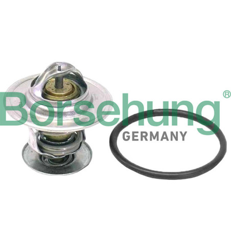 BORSEHUNG B18262 Termostat
