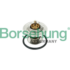 BORSEHUNG B18268 Termostat