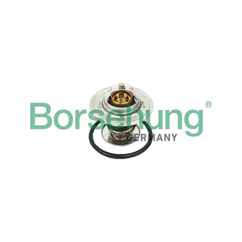 BORSEHUNG B18268 Termostato