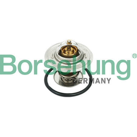 BORSEHUNG B18268 Termostat