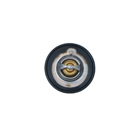 NRF 725152 Thermostat
