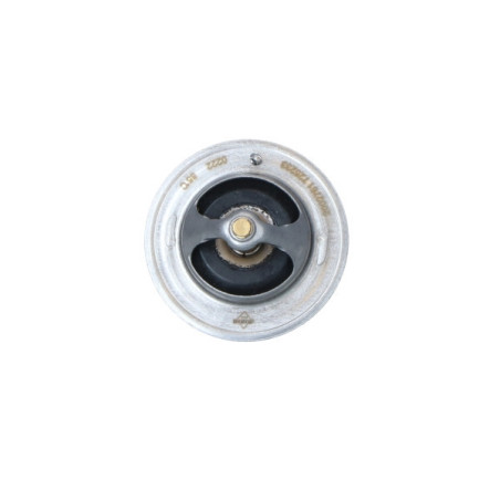 NRF 725233 Thermostat