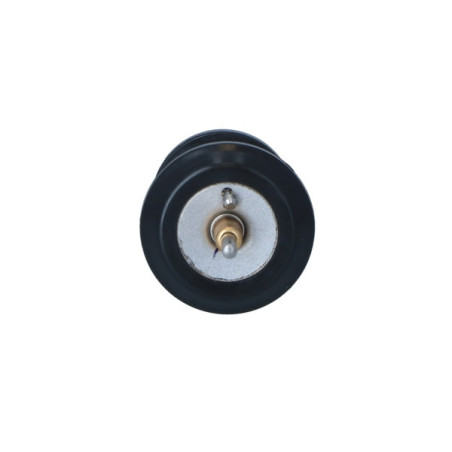 NRF 725250 Thermostat