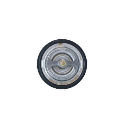 NRF 725268 Thermostat